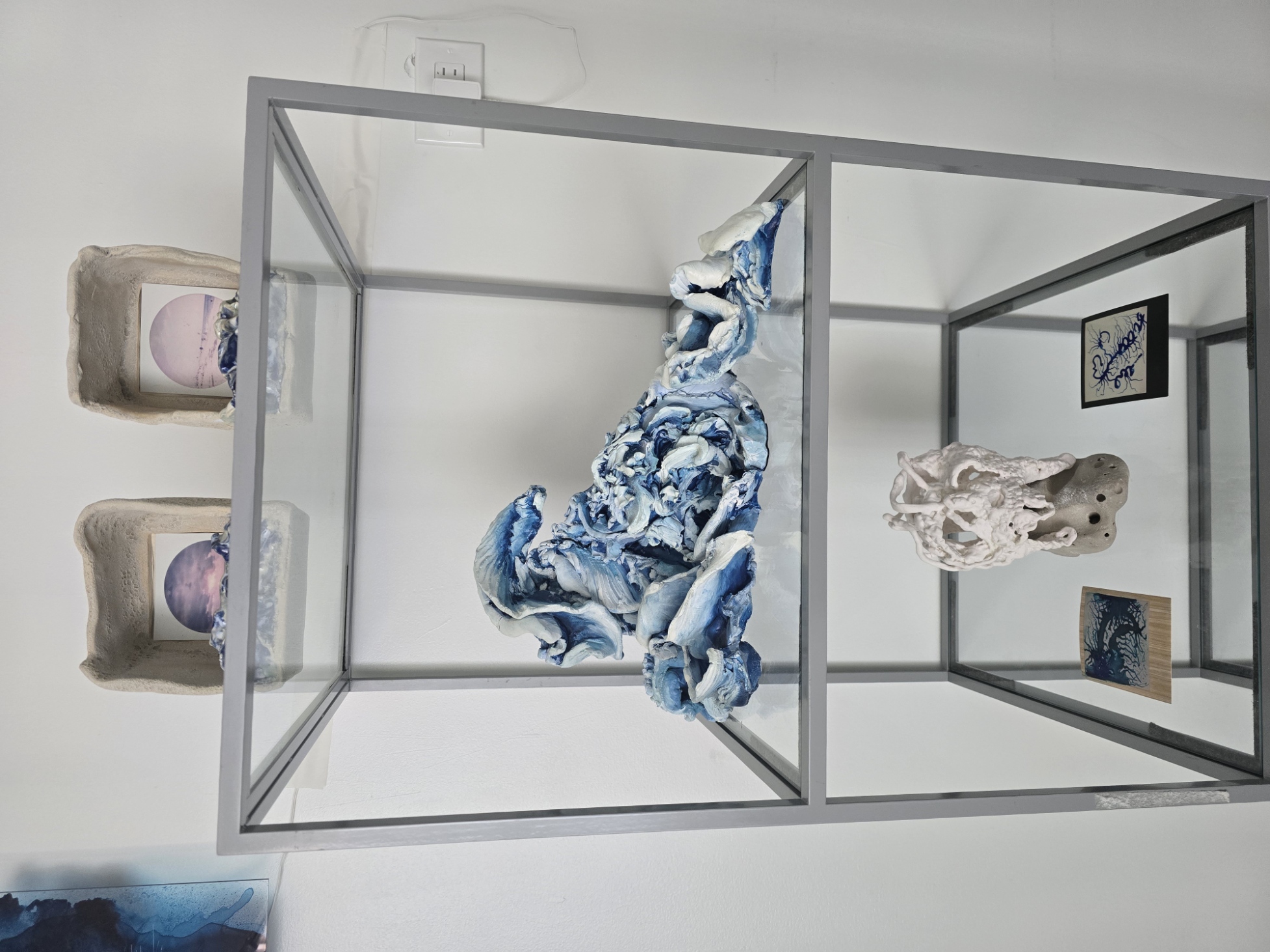 Blue and white ceramic works on shelving
