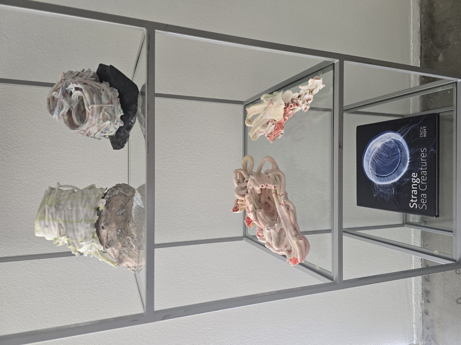 Mixed sculptural works on glass shelving